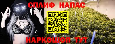 стафф Туймазы