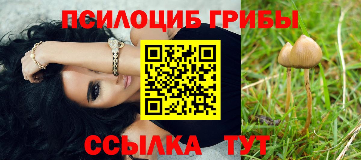 Галлюциногенные грибы прущие грибы  Псилоцибиновые грибы Psilocybine cubensis  Орехово-Зуево  Вход с VPN 