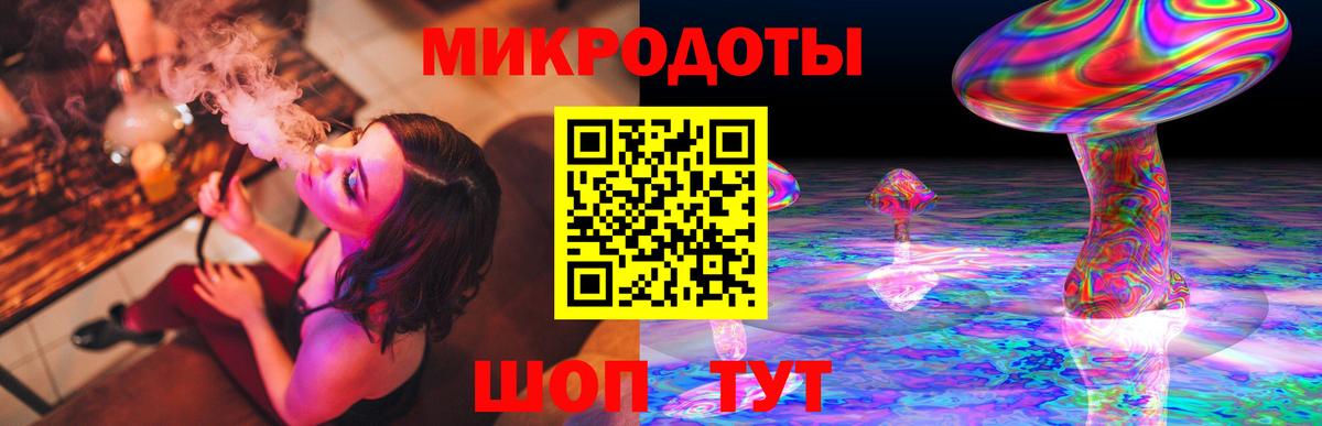 Галлюциногенные грибы Psilocybe Орехово-Зуево